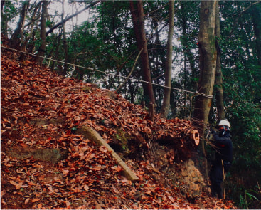 急傾斜地での伐採